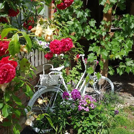 Romantisches Rosencottage Hofheim in Unterfranken Esterno foto