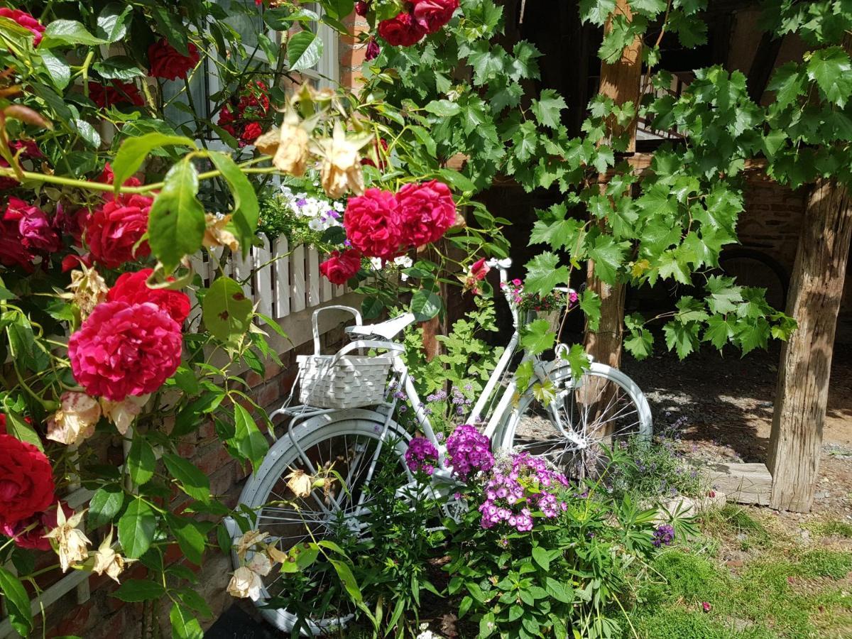 Romantisches Rosencottage Hofheim in Unterfranken Esterno foto